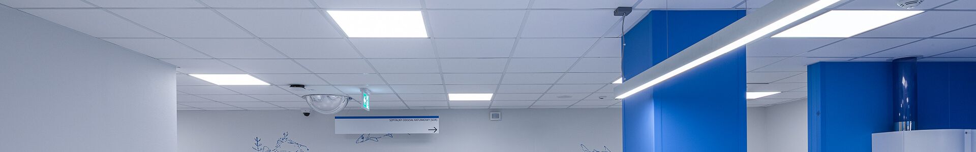 Ein Krankenhauszimmer mit blauen Wänden und weißer Decke, das auf eine funktionale Beleuchtung ausgelegt ist