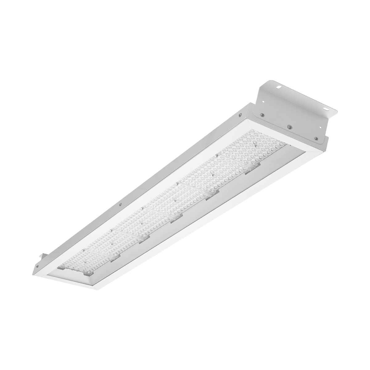 Arena LED