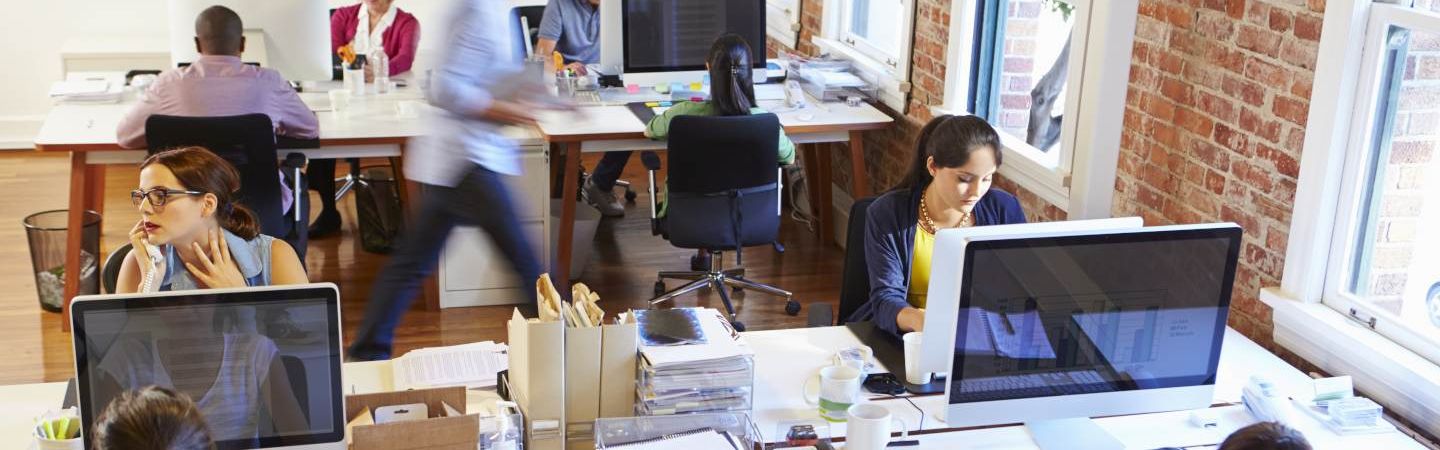Lena Lighting Menschen, die im Büro arbeiten