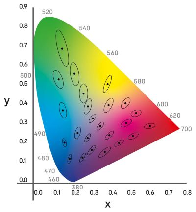Lena Lighting Diagramme